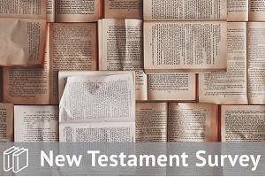 New Testament Survey Track Bundle 