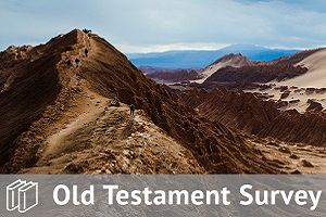 Old Testament Survey Track Bundle 