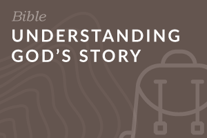 Understanding God's Story (Foundation-level)