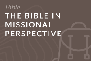 The Bible in Missional Perspective (Foundation-level)