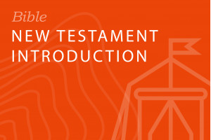 Seminary-level: New Testament Introduction