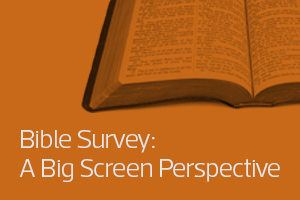 Bible Survey: A Big Screen Perspective